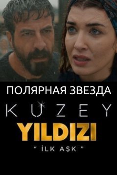 Полярная звезда (2019)