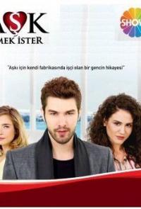 Любовь требует усилий (2013)